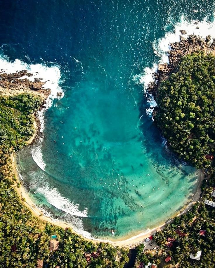 Import from Sri Lanka